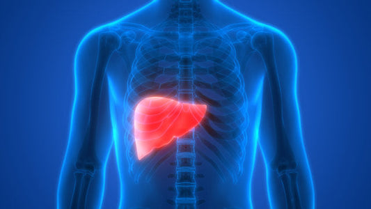 A Closer Look at Trace Minerals and Liver Physiology