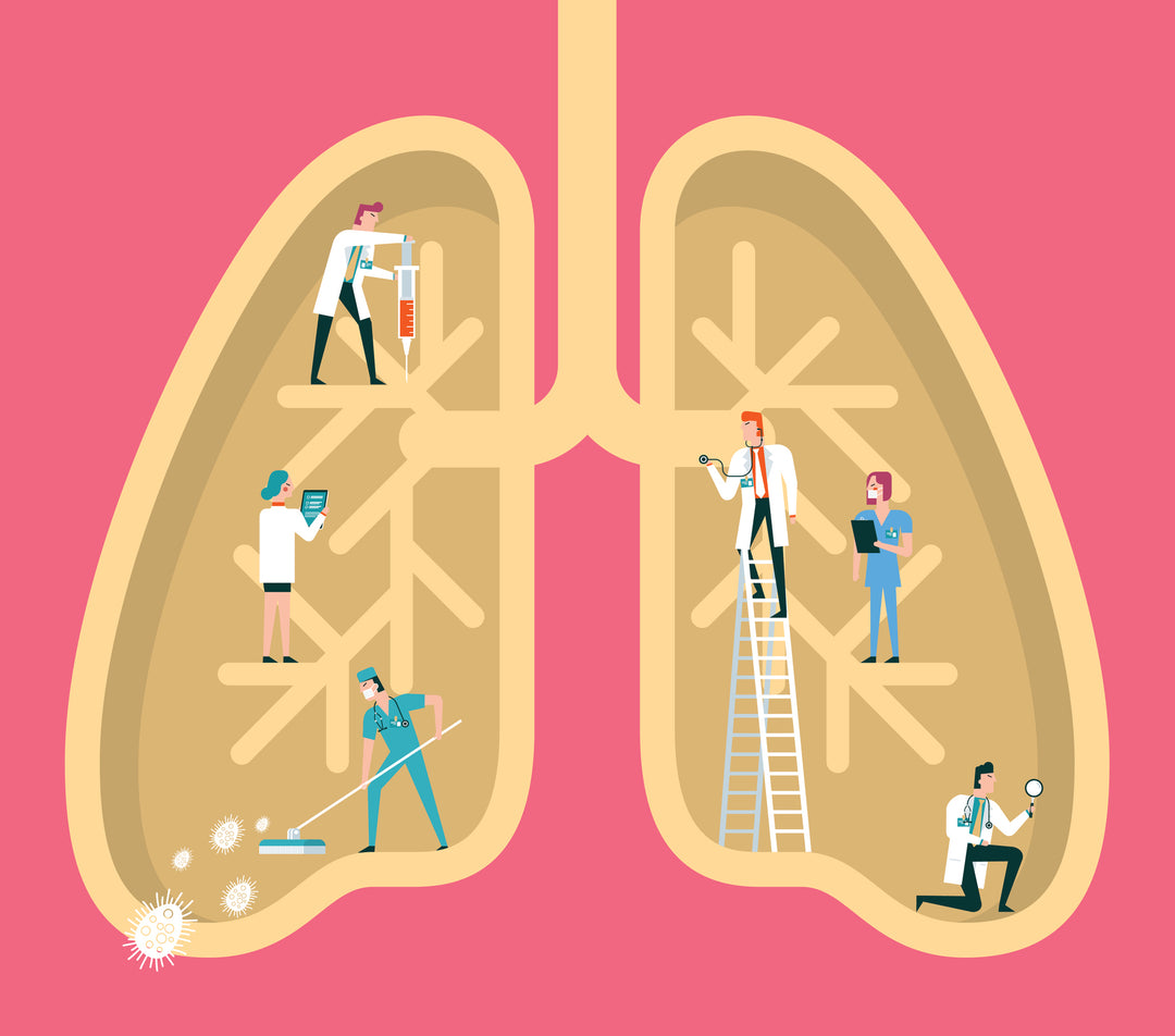 Support Respiratory Health