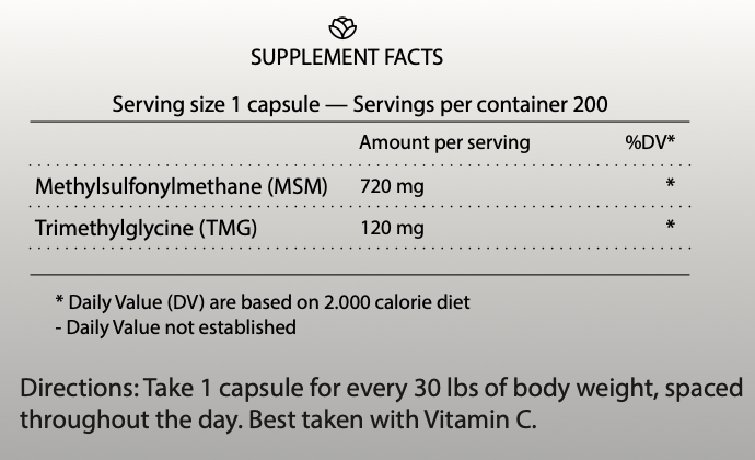 MSM/TMG Protocol